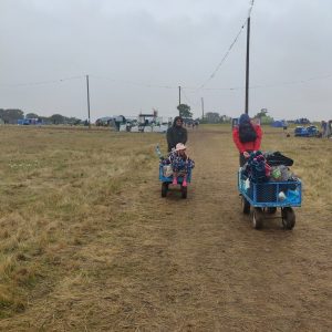 Wagons for hire